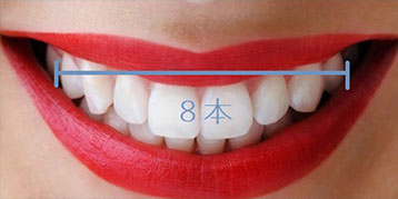 ジルコニアセラミック8本セット