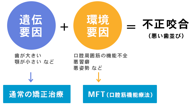 口腔筋機能療法とは？
